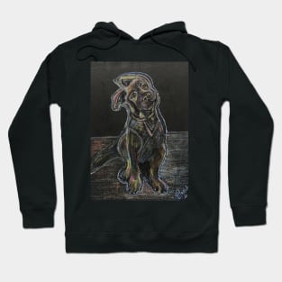 Shepherd thoughts Hoodie